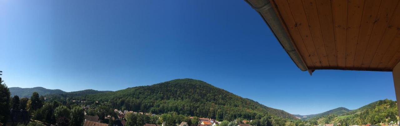 Ferienwohnung Le Panorama Kaysersberg-Vignoble Exterior foto
